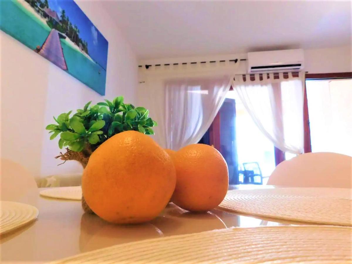 TROPICAL Playa z widokiem na morze, 400 m do plaży La Mata Beach Torrevieja Zewnętrze zdjęcie